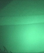 Nikki Dry Humping Video Preview Thumbnail