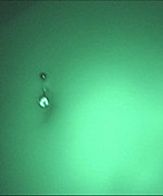 Nikki Dry Humping Video Preview Thumbnail