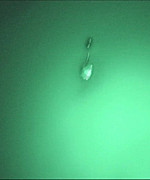 Nikki Dry Humping Video Preview Thumbnail