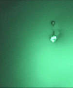Nikki Dry Humping Video Preview Thumbnail