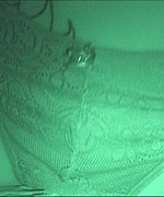 Nikki Dry Humping Video Preview Thumbnail