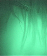 Nikki Dry Humping Video Preview Thumbnail