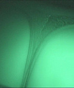 Nikki Dry Humping Video Preview Thumbnail