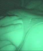 Nikki Dry Humping Video Preview Thumbnail