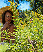 Nikki Elements Combo Pack Preview Thumbnail