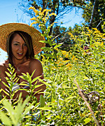 Nikki Elements Combo Pack Preview Thumbnail