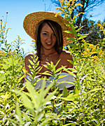 Nikki Elements Combo Pack Preview Thumbnail