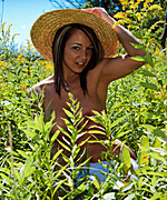 Nikki Elements Combo Pack Preview Thumbnail